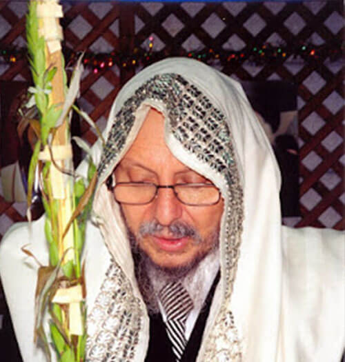 נטילת לולב - סוכות תשס