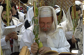 נטילת לולב - סוכות תשע